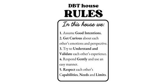 DBT rules to live by